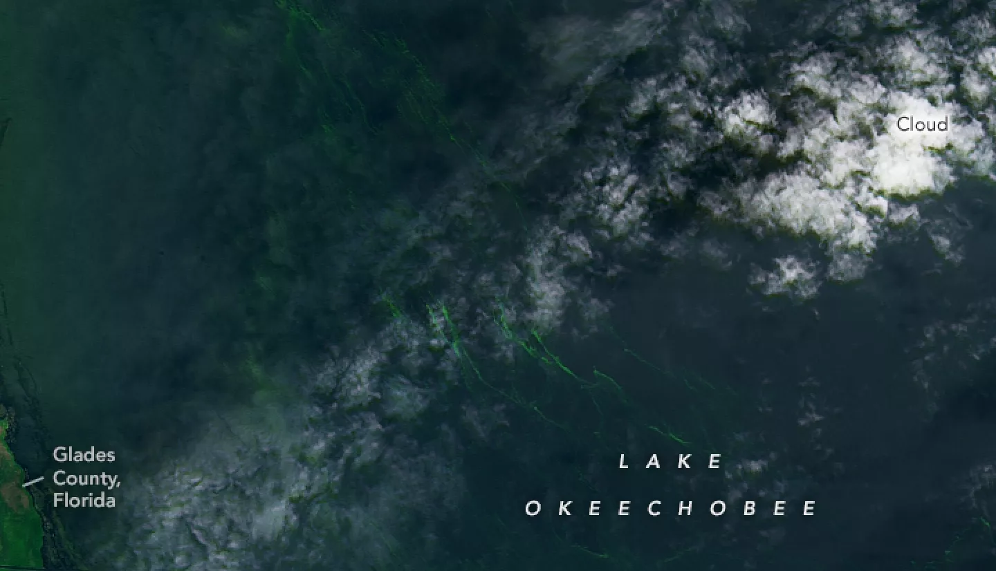 satellite image of dark blue lake with small streaks of green algae