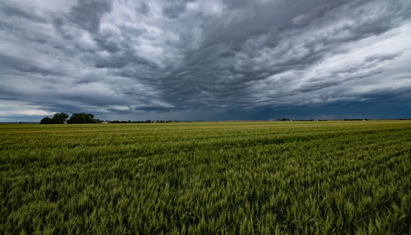 picture of field under small storm clouds