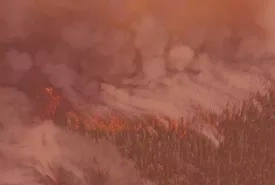 Wildfires background