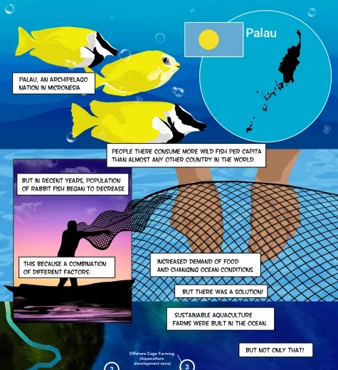 11743_A-brief-History-of-Palau-Fish_Gustavo-Soria.jpg