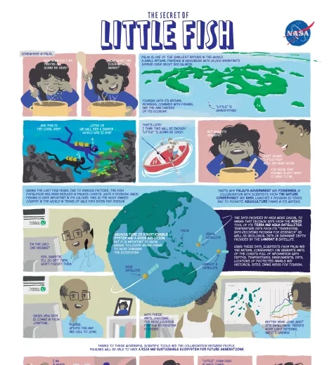11790_The-Secret-of-LittleFish
