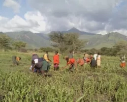 Farmers work their fields in Rupa, Moroto District, Karamoja 