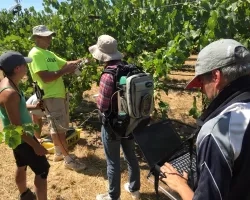 Photo of the GRAPEX team members in a vineyard taking scientific measurements