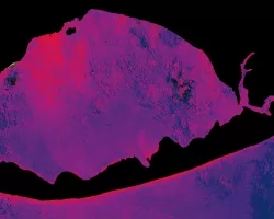 NDTI-processed imagery using 1999-2021 Landsat 7 ETM+ and Landsat 8 OLI data, processed with SHARQ and ORCAA. Displayed is an East-oriented view of St. Joseph Peninsula off the Florida panhandle. Brighter shades of pink indicate greater change in turbidity levels post-Hurricane Michael, while shades of purple represent lower turbidity change. This increase in sediment post-hurricane indicates disturbed aquatic vegetation due to extreme storm events.