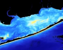 Processed imagery using 2020 Landsat 8 OLI data showing turbidity. Fire Island, a barrier island located in New York, is displayed on January 21, 2020. Shades of red indicates more turbidity and shades of blue indicate less turbidity, while black indicates land. Lower turbidity indicates areas with less sediment movement. 