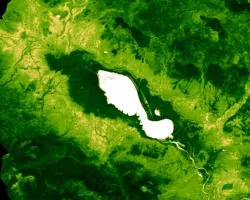 Processed MOD13Q1.006 Terra Vegetation Indices 16-Day Global 250m imagery and calculated 20-year median NDVI for serial 16-day MODIS composites (January 1st, 2000, to December 31st, 2020), reflected for the Tonlé Sap Lake region, within Cambodia SE Asia. High photosynthetic capacity is dark green, low photosynthetic capacity is tan, water detected in NDVI is white. Focusing on low to high vegetation cover, density, and productivity to prioritize resource allocation and increase agricultural sustainability f