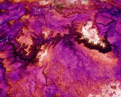 2022 Spring CO Grand Canyon Ecological Forecasting Website Image