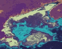 Aph(433)-processed imagery from merged Aqua MODIS and Sentinel-3 data. This image of the Gulf of Maine was taken on September 12, 2016 during one of the most severe harmful algal bloom events. Using in-situ data, it was determined that Pseudo-nitzschia was a dominant genus of algae present at the time of the bloom. Shades of bright green indicate peak absorption by phytoplankton and aph(433) is corrected for false positive absorption indications.