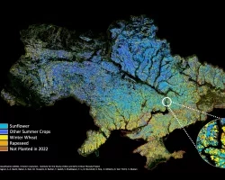 Ukraine in October 2022 showing crops such as sunflower (light blue), winter wheat (yellow), rapeseed (orange) and other summer corps (dark blue). Credits: NASA Harvest