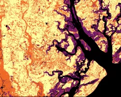 The image was collected by Landsat 9 on January 26 of 2023 showing Skidaway Island and waterways on the Georgia coast. The data shows areas of healthy vegetation and urban areas using a Normalized Difference Vegetation Index (NDVI). The darker orange represents grass and urban areas. Yellow and purple represents forested and densely vegetated areas. The black represents open water.