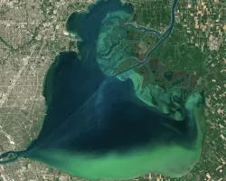full-color satellite view of light blue algae bloom in the deep blue of Lake Erie