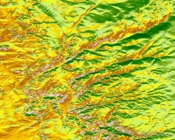 Predicted cheatgrass green-up imagery from Landsat 8 OLI data. This composite image of the western portion of the Mullen Fire Study Area is from June 2022. Shades of green and yellow indicate an earlier green-up time, while orange, brown, and white areas show later predicted green-up times. This data was used to create NDVI difference maps which will help managers predict when and where to apply treatments to limit the spread of cheatgrass.