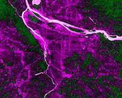NDVI-processed image from Landsat 8 OLI June 2022 data. Black and magenta indicates Portland's built landscape, with the bright magenta depicting the highest concentrations of impervious surfaces. In light pink, the Willamette River dissects the city with surrounding green vegetation. The NDVI conveys areas with high urban build-up with a lack of access to greenspace, illustrating lived experiences of urban heat and contributing to Depave's knowledge of areas that are in most need of depaving.