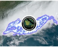 Lightning Observations from Space