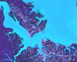 Processed imagery from Landsat 8 OLI/TIRS from summer 2023, overlaid with 2019 data from the National Landcover Database. Teal polygons show woody and emergent wetlands; light purple visualizes relative percent impervious cover – which are barriers to wetland migration. Overlay highlights the interactions between natural processes and human activities shaping future wetland extent.