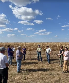 people standing outside near a cornfield