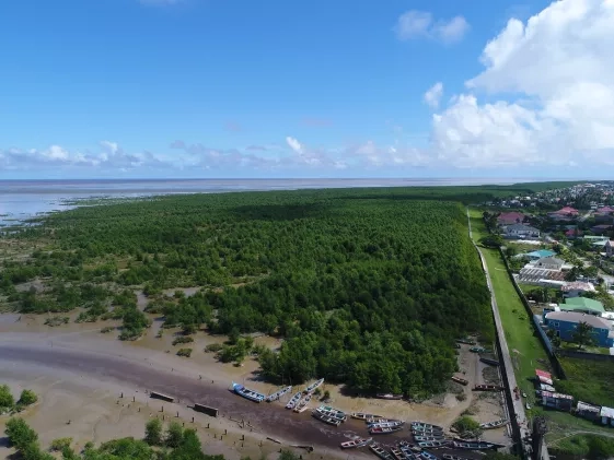 Mangrove forests form a natural seawall protecting neighborhoods of Georgetown, Guyana’s capital city.